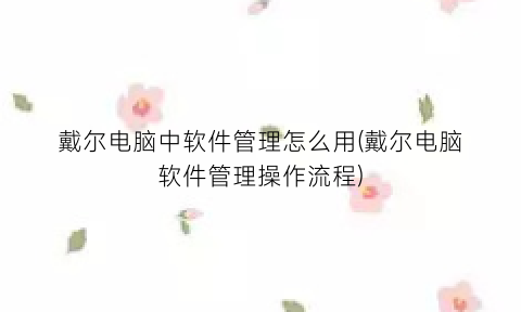 戴尔电脑中软件管理怎么用(戴尔电脑软件管理操作流程)