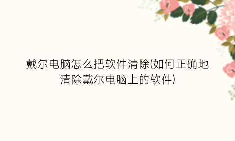 戴尔电脑怎么把软件清除(如何正确地清除戴尔电脑上的软件)