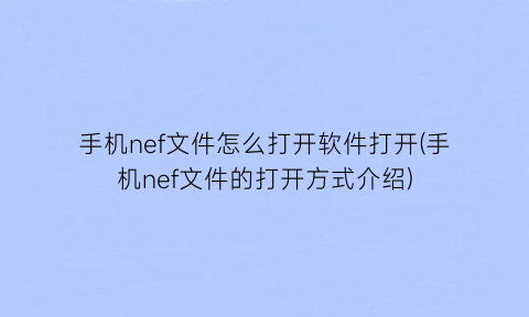 手机nef文件怎么打开软件打开(手机nef文件的打开方式介绍)