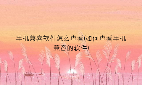 手机兼容软件怎么查看(如何查看手机兼容的软件)