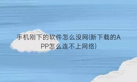 手机刚下的软件怎么没网(新下载的APP怎么连不上网络)