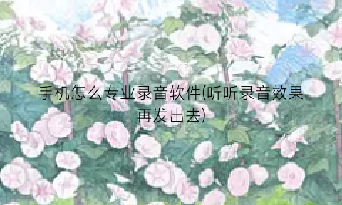 “手机怎么专业录音软件(听听录音效果再发出去)