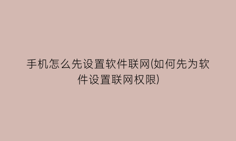 手机怎么先设置软件联网(如何先为软件设置联网权限)