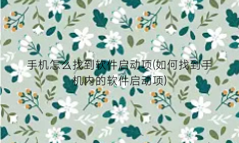 “手机怎么找到软件启动项(如何找到手机内的软件启动项)