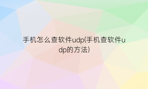 手机怎么查软件udp(手机查软件udp的方法)