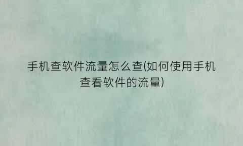 “手机查软件流量怎么查(如何使用手机查看软件的流量)