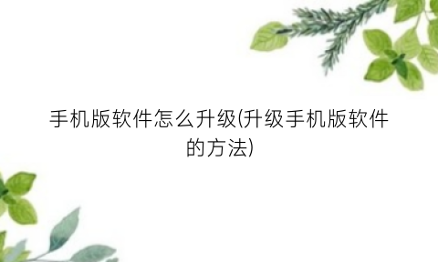 手机版软件怎么升级(升级手机版软件的方法)