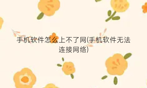 手机软件怎么上不了网(手机软件无法连接网络)