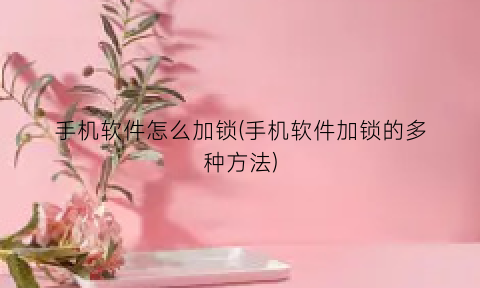 手机软件怎么加锁(手机软件加锁的多种方法)