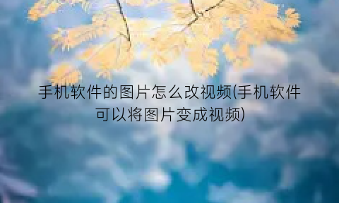 手机软件的图片怎么改视频(手机软件可以将图片变成视频)