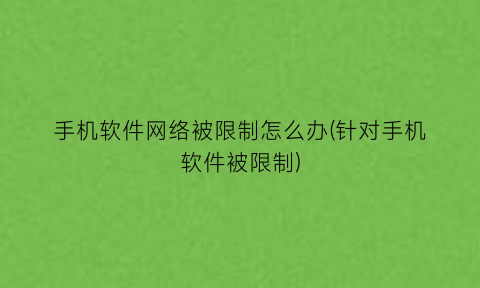 手机软件网络被限制怎么办(针对手机软件被限制)