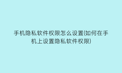 手机隐私软件权限怎么设置(如何在手机上设置隐私软件权限)