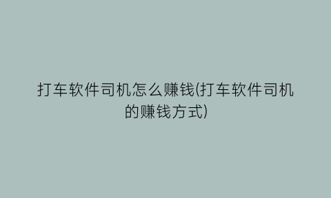 打车软件司机怎么赚钱(打车软件司机的赚钱方式)