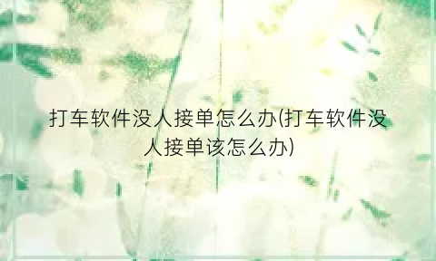 打车软件没人接单怎么办(打车软件没人接单该怎么办)