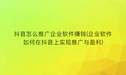 抖音怎么推广企业软件赚钱(企业软件如何在抖音上实现推广与盈利)