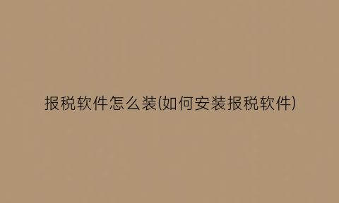 报税软件怎么装(如何安装报税软件)