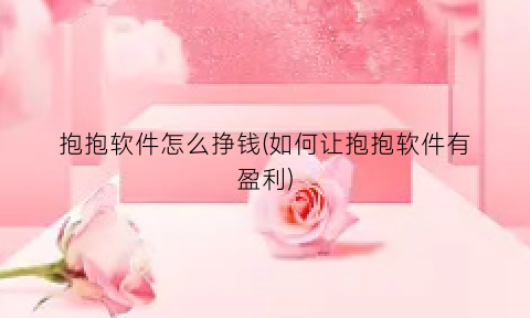 抱抱软件怎么挣钱(如何让抱抱软件有盈利)