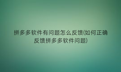 “拼多多软件有问题怎么反馈(如何正确反馈拼多多软件问题)