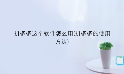 拼多多这个软件怎么用(拼多多的使用方法)