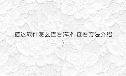 描述软件怎么查看(软件查看方法介绍)