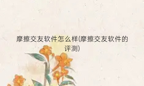 摩擦交友软件怎么样(摩擦交友软件的评测)