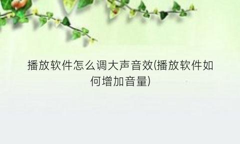 播放软件怎么调大声音效(播放软件如何增加音量)