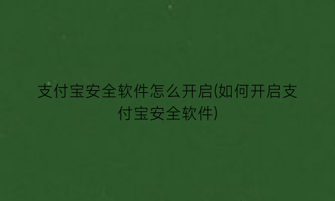 支付宝安全软件怎么开启(如何开启支付宝安全软件)