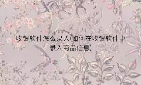 收银软件怎么录入(如何在收银软件中录入商品信息)