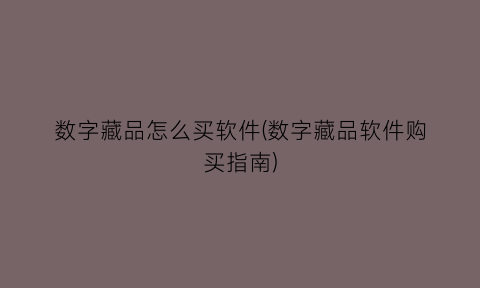 “数字藏品怎么买软件(数字藏品软件购买指南)