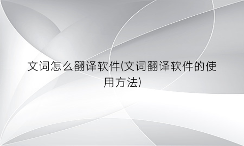 “文词怎么翻译软件(文词翻译软件的使用方法)