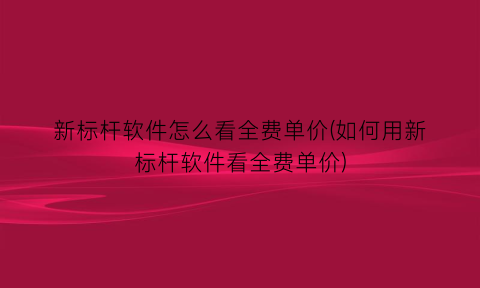 “新标杆软件怎么看全费单价(如何用新标杆软件看全费单价)