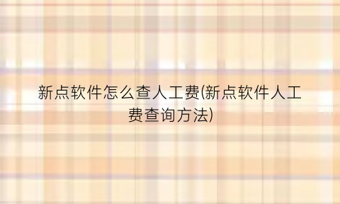 “新点软件怎么查人工费(新点软件人工费查询方法)