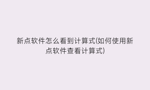 新点软件怎么看到计算式(如何使用新点软件查看计算式)