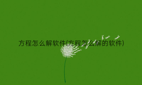 “方程怎么解软件(方程怎么解的软件)