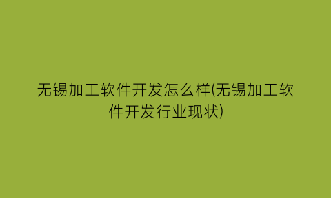 “无锡加工软件开发怎么样(无锡加工软件开发行业现状)
