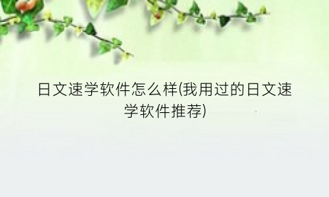 日文速学软件怎么样(我用过的日文速学软件推荐)