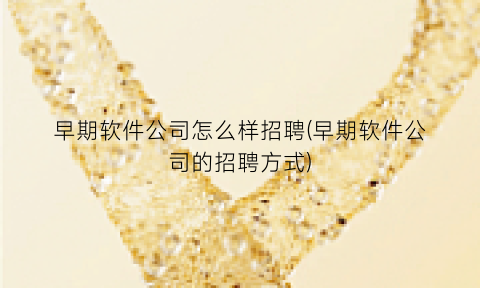 早期软件公司怎么样招聘(早期软件公司的招聘方式)