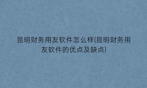 昆明财务用友软件怎么样(昆明财务用友软件的优点及缺点)