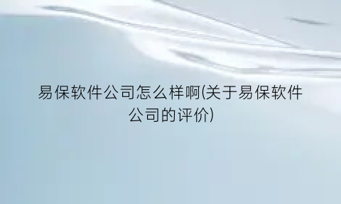 “易保软件公司怎么样啊(关于易保软件公司的评价)
