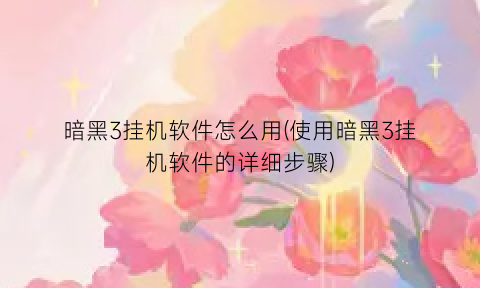 暗黑3挂机软件怎么用(使用暗黑3挂机软件的详细步骤)