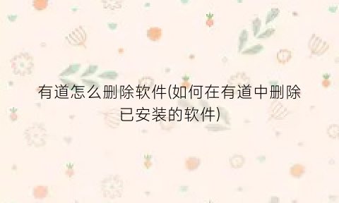 “有道怎么删除软件(如何在有道中删除已安装的软件)