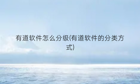 “有道软件怎么分级(有道软件的分类方式)