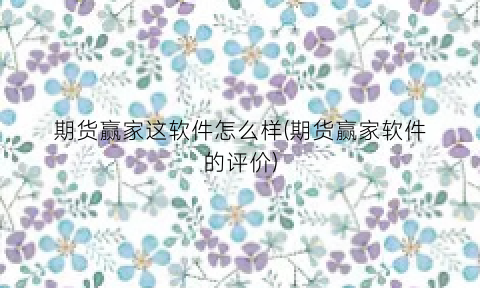 “期货赢家这软件怎么样(期货赢家软件的评价)