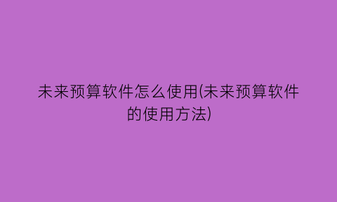 未来预算软件怎么使用(未来预算软件的使用方法)