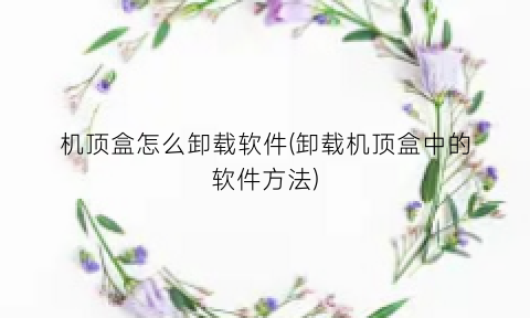 “机顶盒怎么卸载软件(卸载机顶盒中的软件方法)