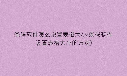 条码软件怎么设置表格大小(条码软件设置表格大小的方法)