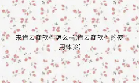 “来肯云商软件怎么样(肯云商软件的使用体验)
