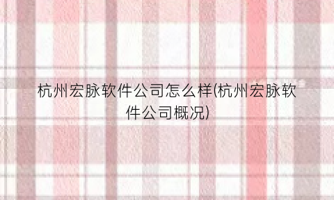 杭州宏脉软件公司怎么样(杭州宏脉软件公司概况)