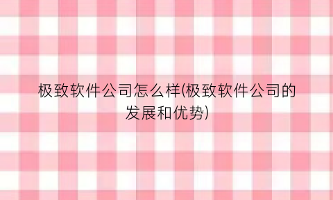 “极致软件公司怎么样(极致软件公司的发展和优势)