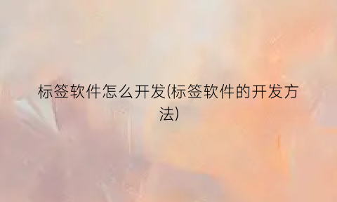 标签软件怎么开发(标签软件的开发方法)